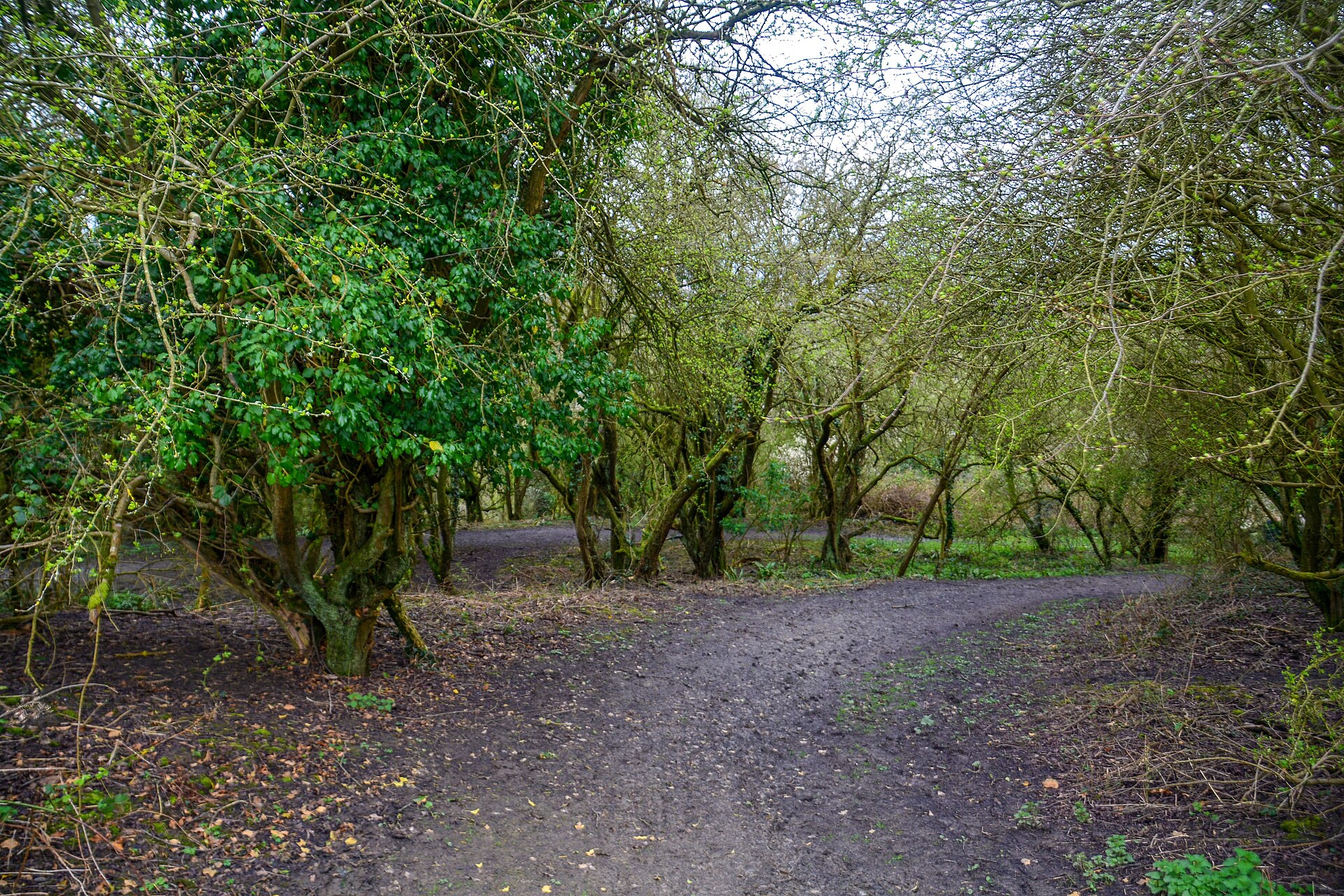 Robinswood Hill, Gloucester